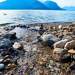 5 Sweet * Acquaseria