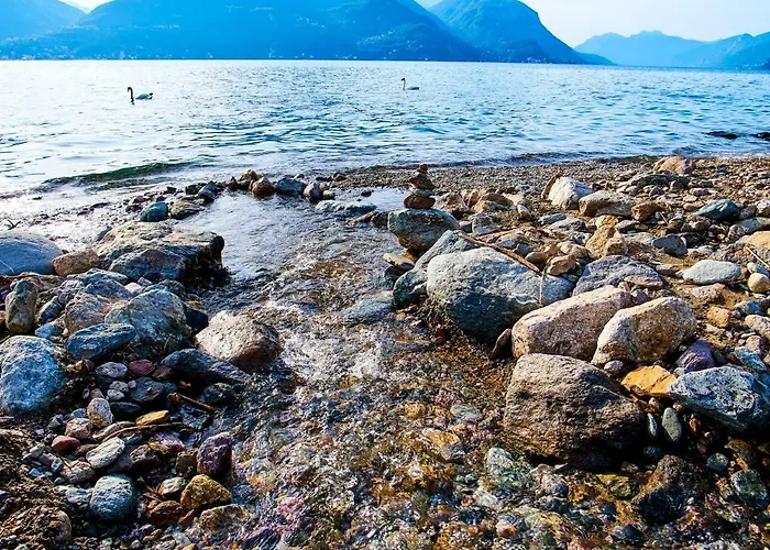 5 Sweet * Acquaseria